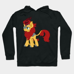 Flash Magnus kirin Hoodie